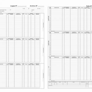 Libro Matriz Reg. Gral. de Calificaciones - Imagen 2